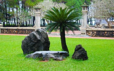ASLA survey reveals modest gains for landscape architecture firms