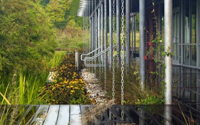 30 top landscape architecture projects earn 2016 ASLA Professional Awards