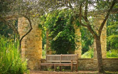 ASLA survey reveals tepid conditions for landscape architecture firms