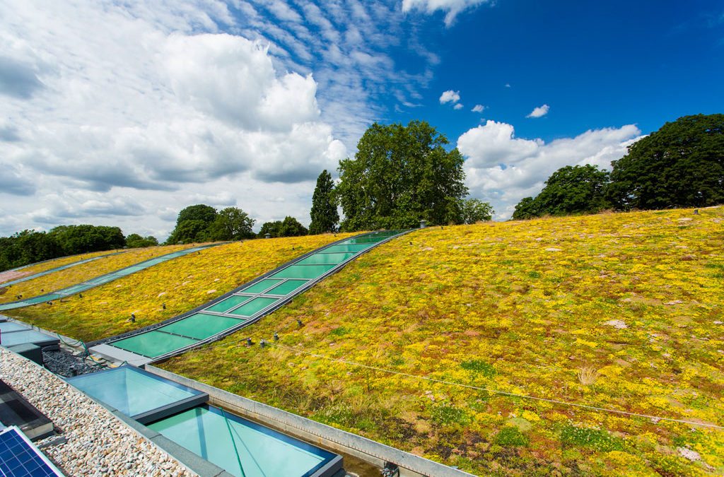 Hurlingham Racquet Centre’s light green roof features Kerto® LVL