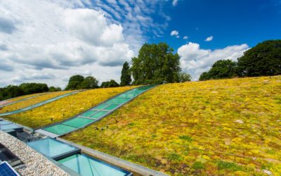 Hurlingham Racquet Centre’s light green roof features Kerto® LVL