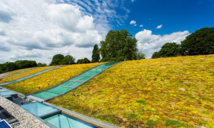 Hurlingham Racquet Centre’s light green roof features Kerto® LVL