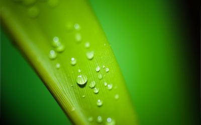 Greenbuild International Conference & Expo releases 2016 Sustainability Report