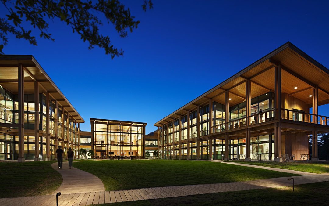 Cypress and “Live Oak”—A Spectacular Combination