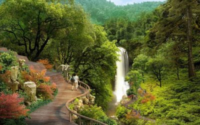 Key organizations join ‘Joint Call to Action to Promote Healthy Communities’