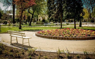 Center for Active Design releases first study to examine specific community design features that influence civic life