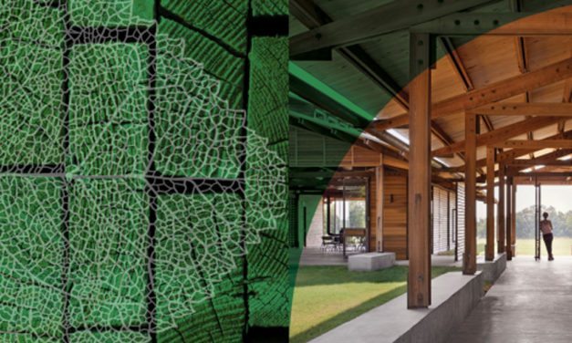 International Living Future Institute now accepting submissions for the Stephen R. Kellert Biophilic Design