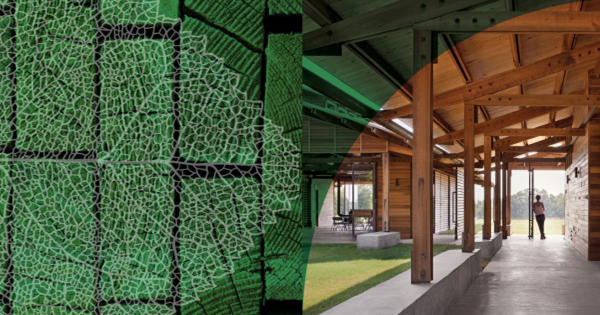 International Living Future Institute now accepting submissions for the Stephen R. Kellert Biophilic Design