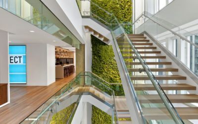 CfAD Excellence Awards showcase active design influence on projects around the world