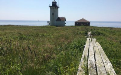 College of the Atlantic, Green Mountain College and Sterling College take top three spots on Sierra’s “Cool Schools” list