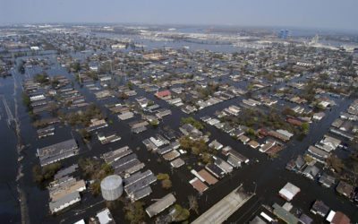 How Design Firms Can Build a Resilient Future