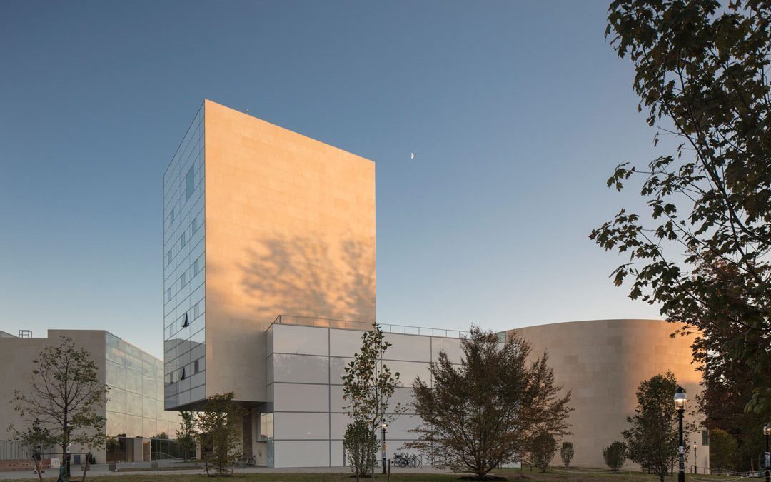 The new Lewis Arts complex designed by Steven Holl Architects in partnership with BNIM Architects