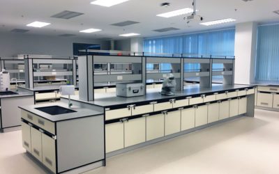 Roadmap for Designing Net Zero Labs