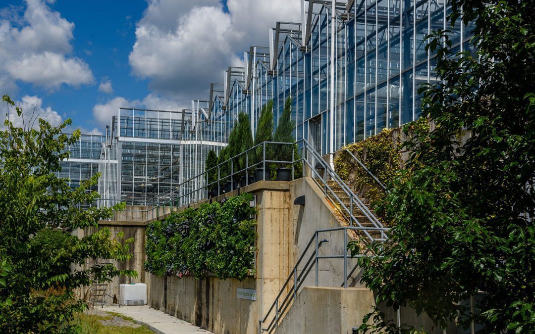 LiveWall Helps Phipps Conservatory to Display Ten Vertical Food Gardens