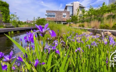 Phipps Conservatory’s Sustainability Training Workshop Provides Tailored Green Building Roadmap for Industry Leaders
