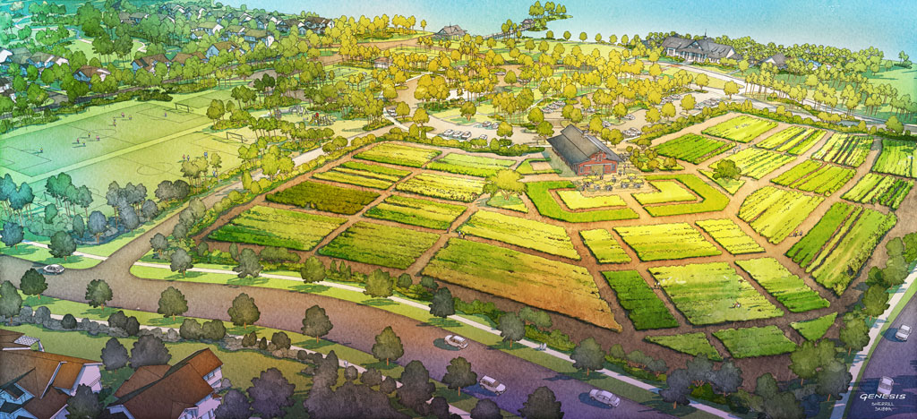 Arden, in Palm Beach County Florida, includes a five-acre community farm. Courtesy of Freehold Communities