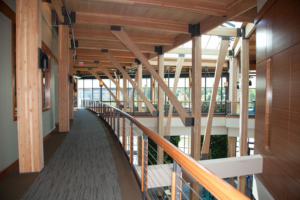 Building with Timber: A Sustainable and Effective Alternative to Traditional Building Materials