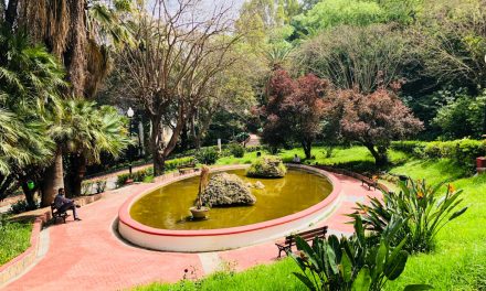 World Peace Gardens to Launch Its Next Site in Algiers
