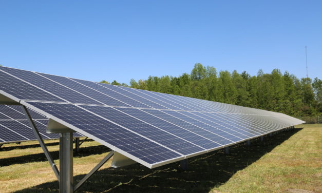 DSM Opens New Seven-Acre Solar Field in Kingstree, South Carolina