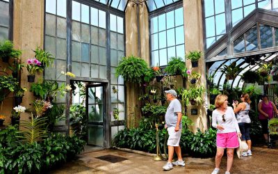 American Academy in Rome Partners with Longwood Gardens on Designing Water
