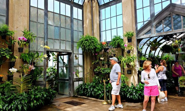 American Academy in Rome Partners with Longwood Gardens on Designing Water