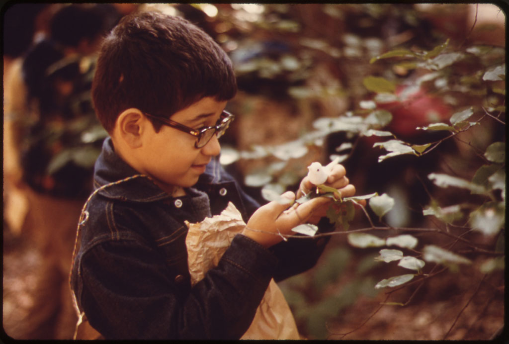 Childhood Development – Nature is critical in children’s formative years. Studies show that nature provides children with a buffer against life’s stresses, and enables them to form social bonds. A study of daylighting in schools also showed that children learn 20-26% faster in natural daylight. – Wells & Evans, 2003; Heschong, 2003 Photo courtesy of the US EPA