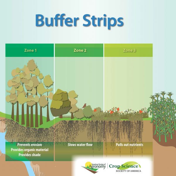 What Are Riparian Buffer Strips? | PRISM