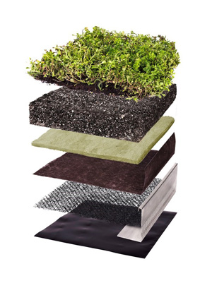 vegetated roofing systems 