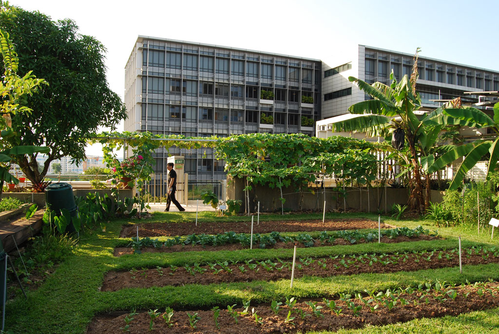 Khoo Teck Puat Hospital. Credit: Bill Browning