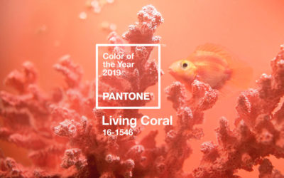 Pantone Announces PANTONE® 16-1546 Living Coral as Color of the Year 2019