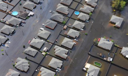 New publication addresses the urgent need for community resilience in the face of repeated major disasters
