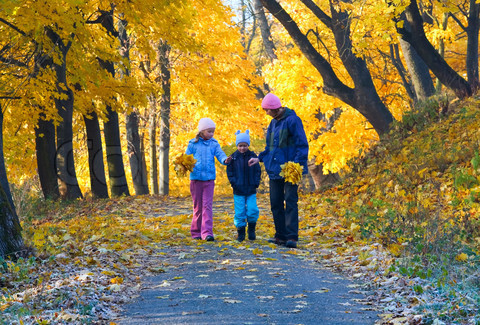 Valuing a walk in the park: Children with ADHD who take a 20-minute walk through a park are likely to exhibit significantly better concentration than by doing the same in a downtown area. Nature has major implications for the way we treat ADHD. – Taylor & Kuo, 2009. Family on Nature Walk, Courtesy of Colourbox.com