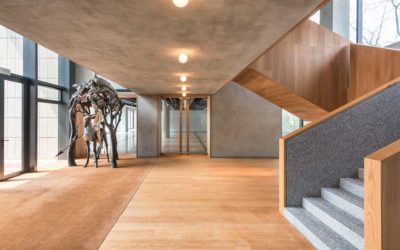 World Architecture Festival and INSIDE 2018 celebrates another successful year in its eleventh edition