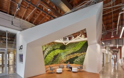 GSky® expands global living wall installations in 15th year