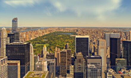 Green Roofs for Healthy Cities celebrates historic passing of The Climate Mobilization Act in New York City