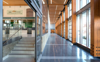 2019 Wood Design Awards winners display aesthetics, ingenuity and sustainability in wood building design