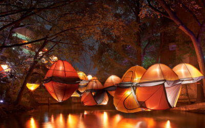 Perkins+Will wins first-ever Austin Chapter of AIA Award of Excellence