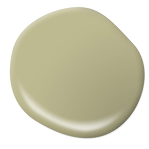 Behr Paint Back to Nature S340-4