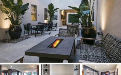 Studios435 named a finalist for “People’s Choice Orchid Award”