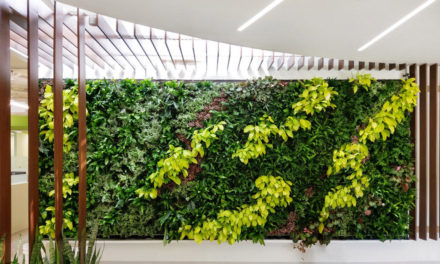Specifying Green Walls: Bringing Indoor Environments to Life