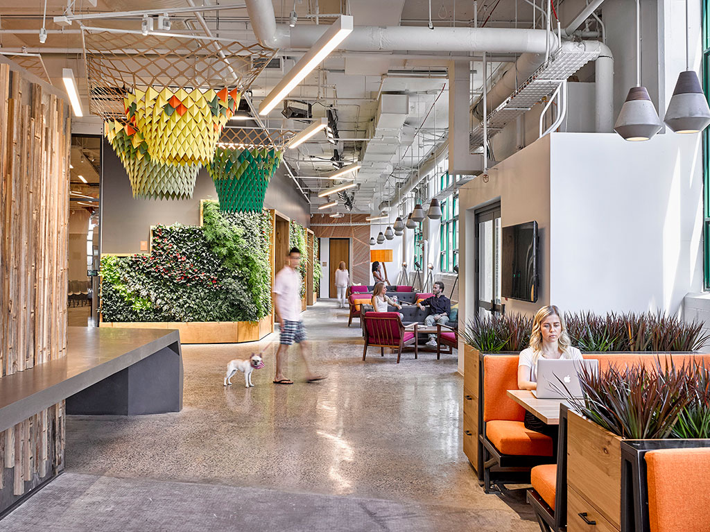 Green wall and planters provides indoor access to natural plant life. Photo credit: © Garrett Rowland, courtesy of Gensler