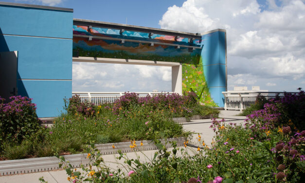 Roof garden serves as oasis for patients at Houston Methodist Hospital